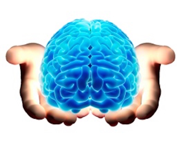 brain-in-hands-white-bckgrnd